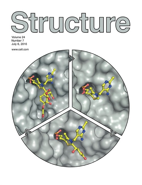 Structure Mend Cover