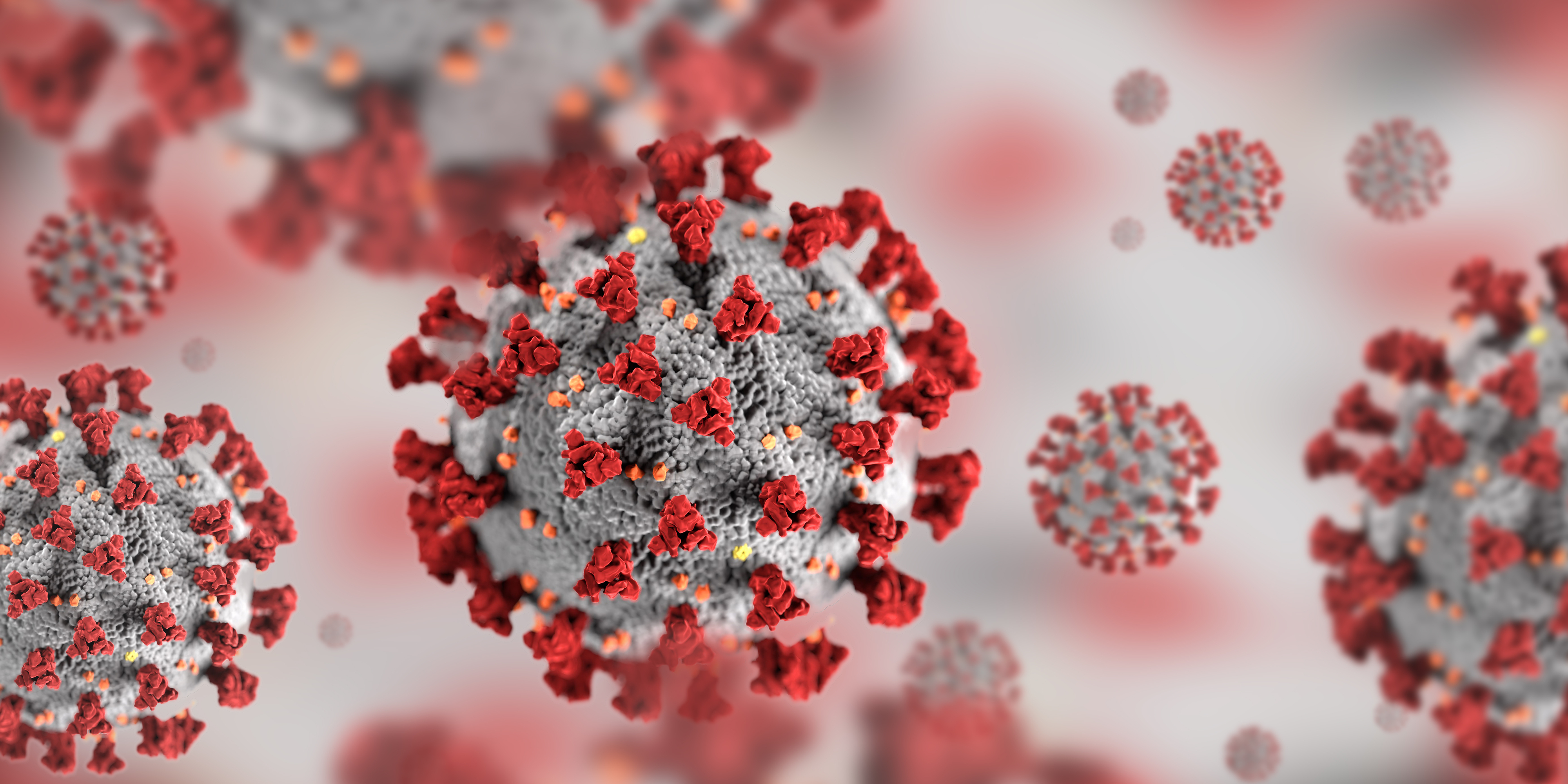 MWC network plays key role in national response to COVID-19 pandemic